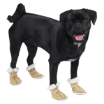 dog wearing winter boots