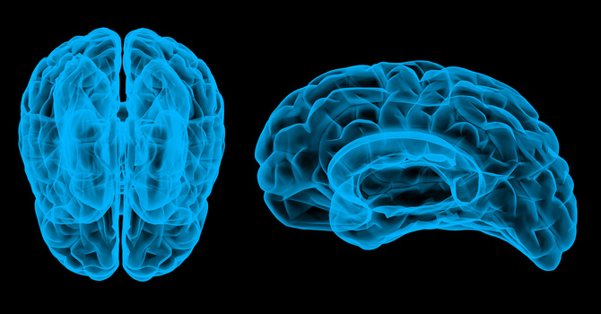 New Concussion Management Program in Burlington and Milton image